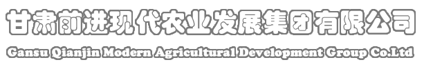 球王会平台