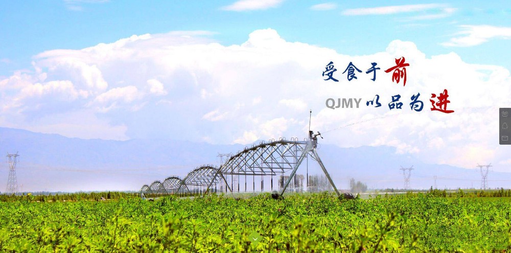 作家进球王会平台诗歌选登（四）