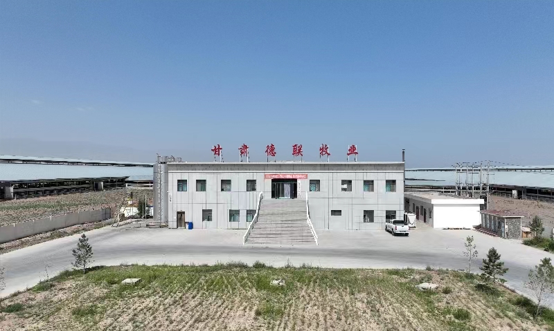 甘肃德联牧业有限公司（球王会平台集团德联牧场）