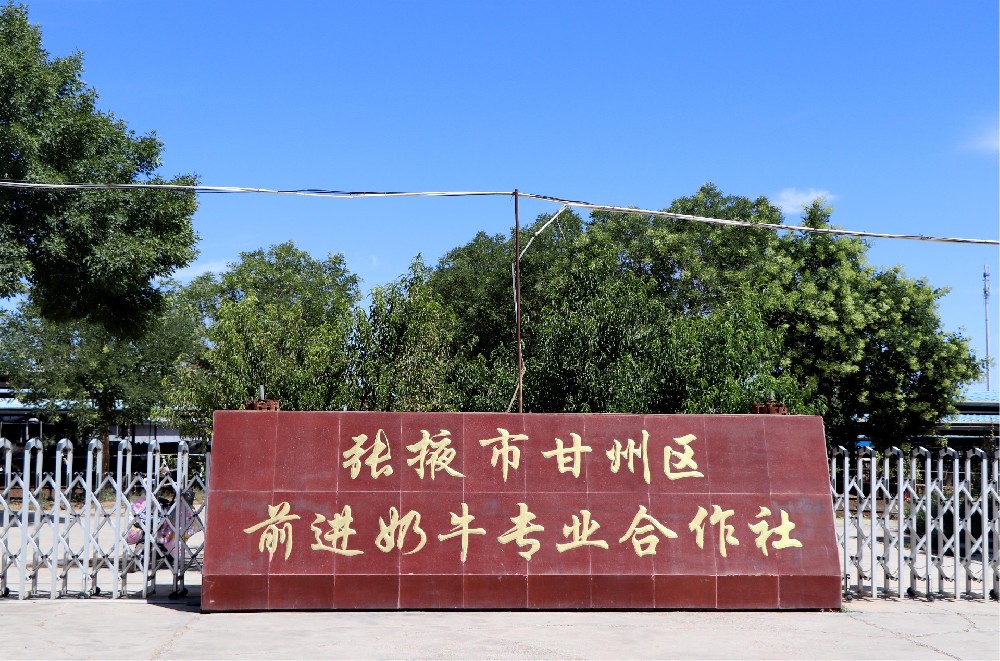 张掖市甘州区球王会平台奶牛专业合作社 （球王会平台集团球王会平台牧场）