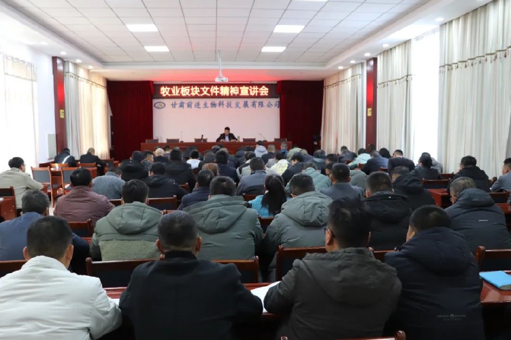 球王会平台集团召开学习宣传和贯彻董事长办公会等有关会议文件精神会议