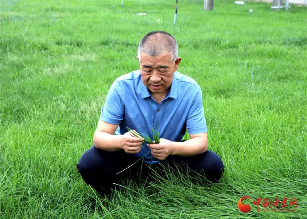 微信图片_20250331090416.jpg