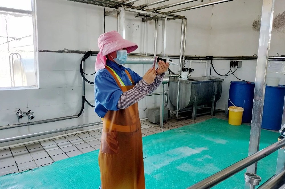 牧场故事多：爱与责任编织的温馨篇章
