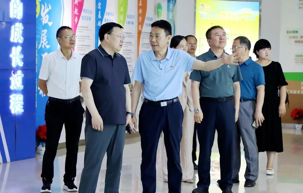 省审计厅副厅长杜明诗到甘肃球王会平台集团调研