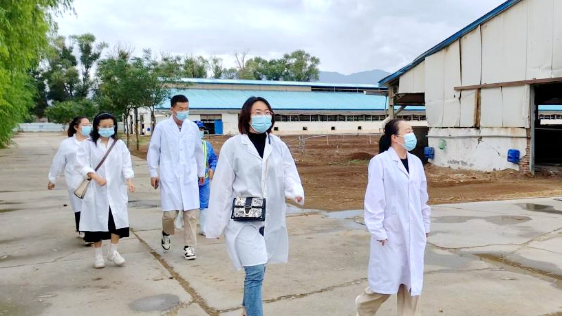 在供需之路上践行“久久为功”——供应部在牧场的交流学习心得